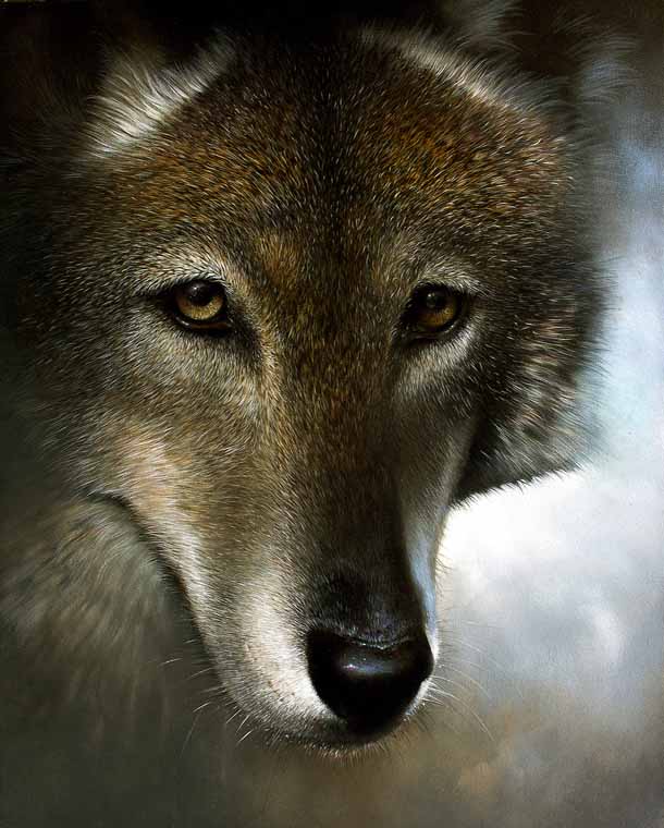 Lone Wolf